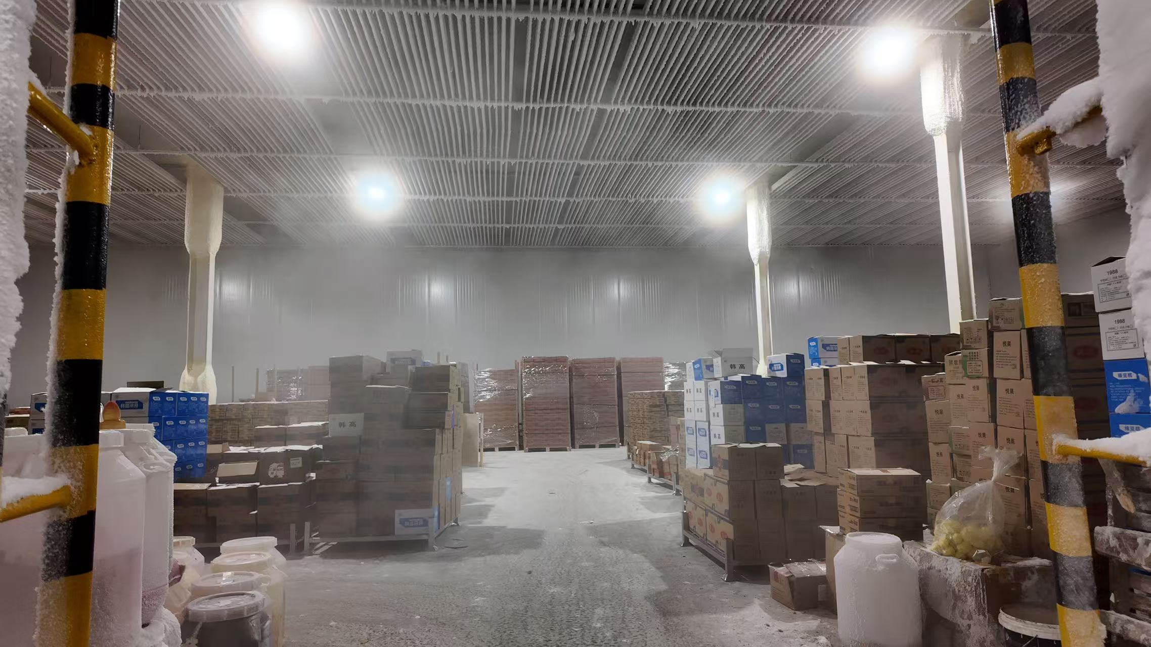 Cold Storage